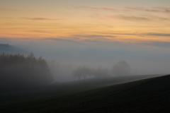 Geistiges Eigentum Thomas Muth