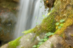 Geistiges Eigentum Thomas Muth