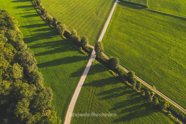 Galerie – Landschaften | Naturjuwelen Oberschwabens