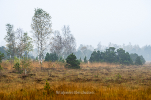 Geistiges Eigentum Marcel Peters