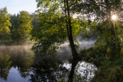 Geistiges Eigentum Thomas Muth