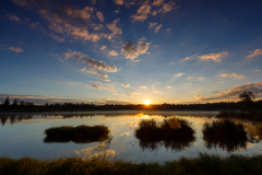 Geistiges Eigentum Thomas Muth