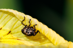 Geistiges Eigentum Ralf Müller