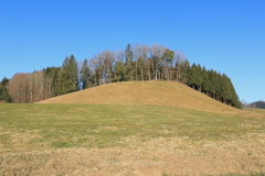 1_K3_Mayer_Drumlin_Wald